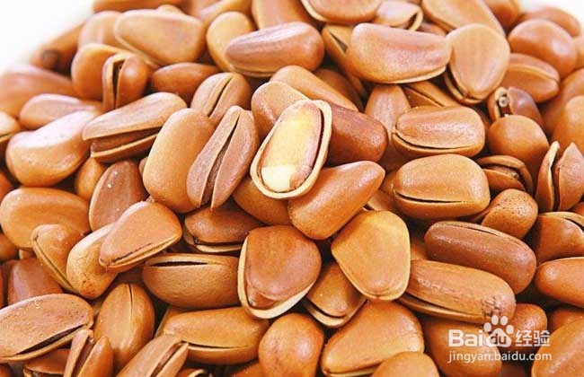 松子的营养和选购技巧