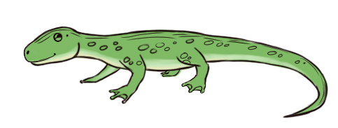 怎样画蜥蜴,铅笔画蜥蜴教程-彩笔画蜥蜴教程