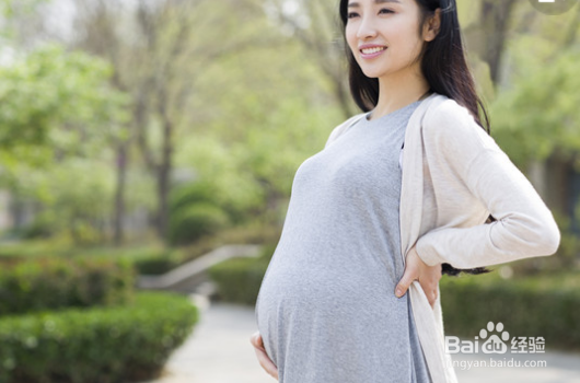 孕期的营养食谱应该是怎样安排的？