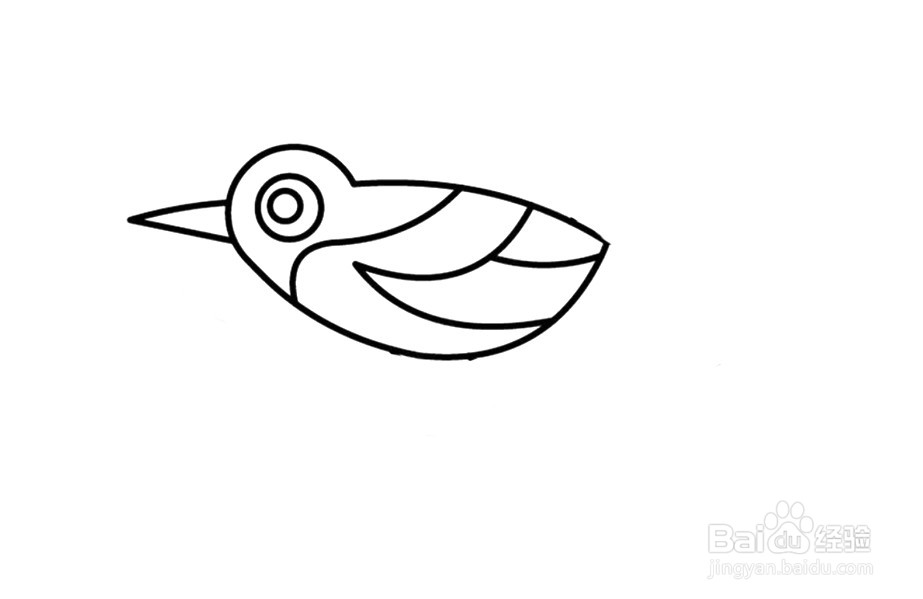 喜鹊简笔画 分步画法