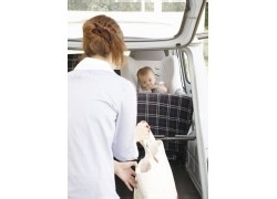 引起迁延性腹泻的原因