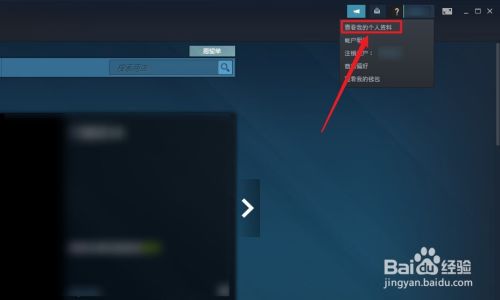 steam隐私如何设置