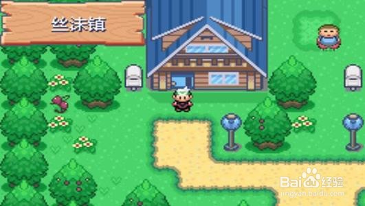 口袋妖怪空之花神2攻略