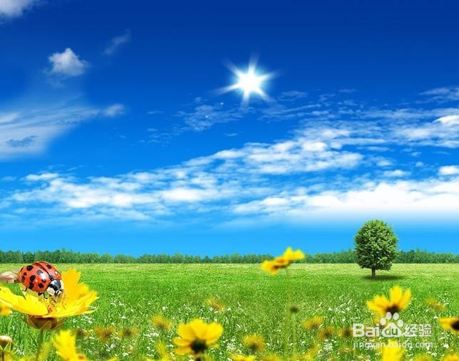 夏季怎样保养自己