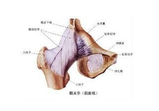 急性痛风几大症状表现