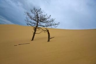 大学生应该如何面对人生逆境