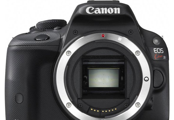 求内行人推荐一款入门级单反相机