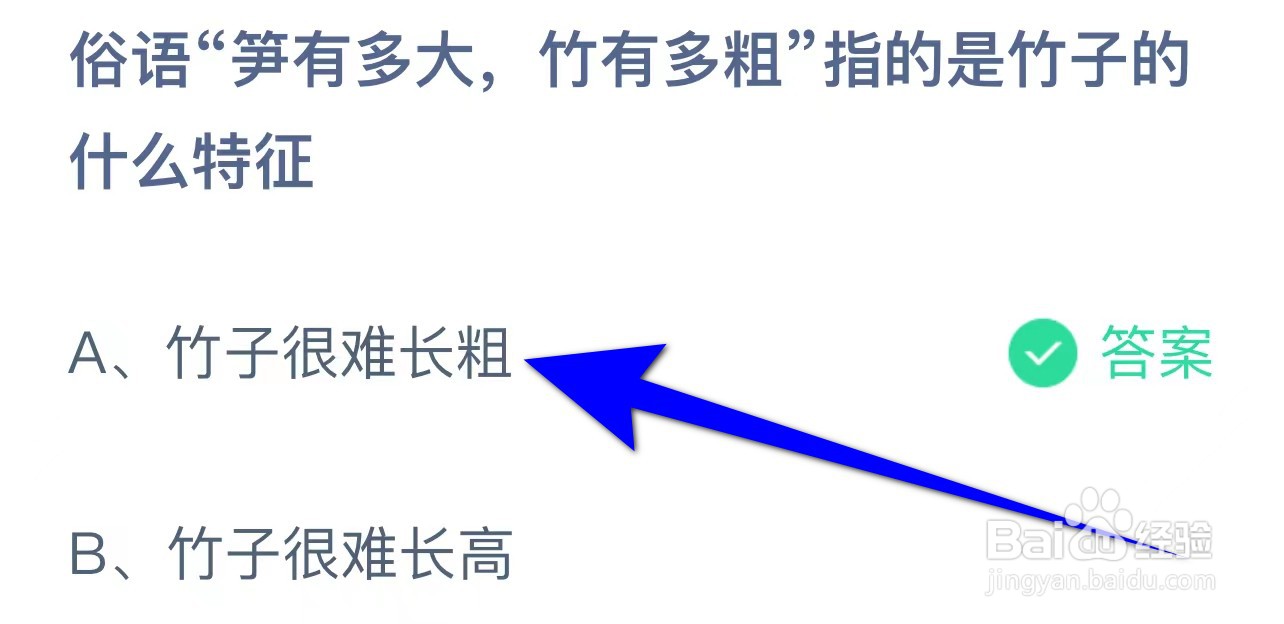 蚂蚁答案俗语笋有多大竹有多粗指竹子什么特征