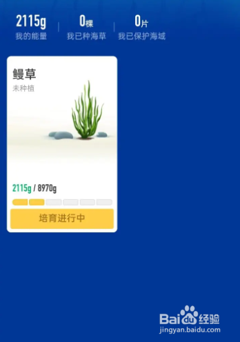 支付宝怎么查看培育的植物