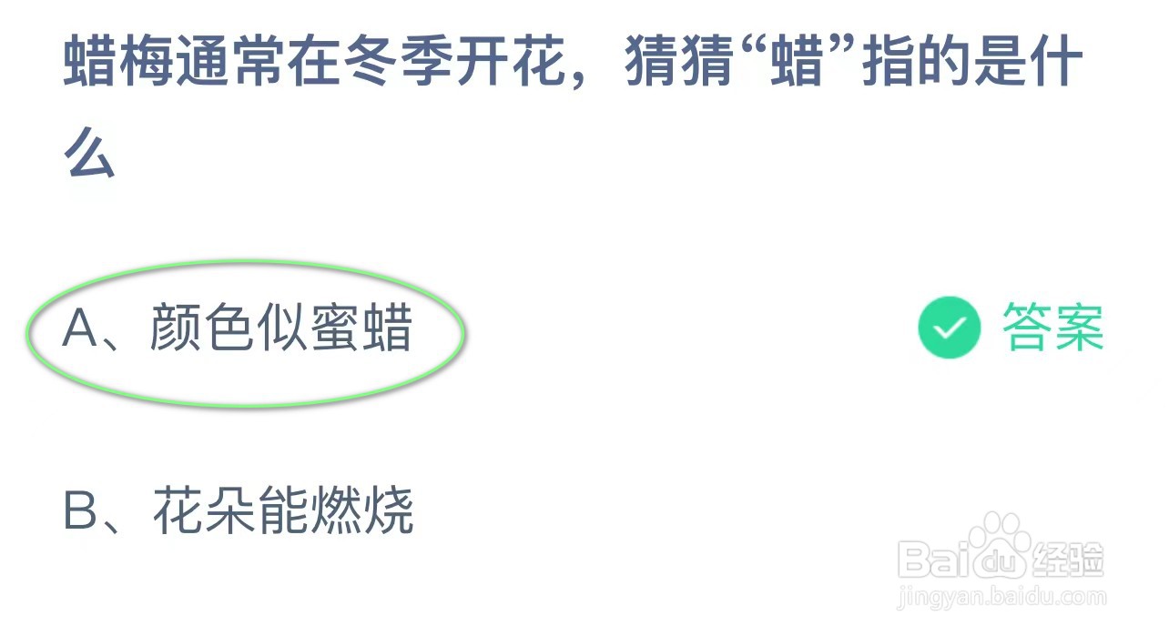 蚂蚁庄园蜡梅通常在冬季开花猜猜“蜡”指的是？