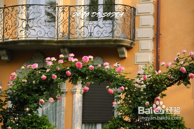 [转载]攀上梦的边缘开放