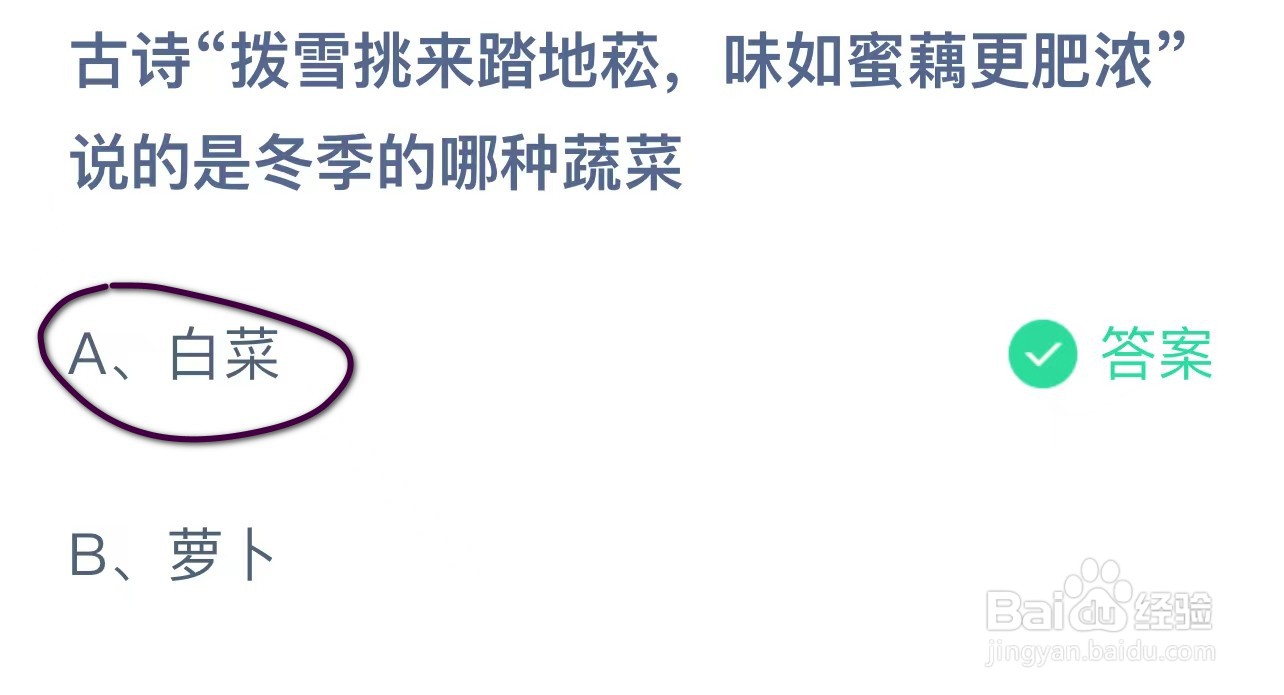蚂蚁庄园“拨雪挑来踏地愁”说的是冬季哪种蔬菜