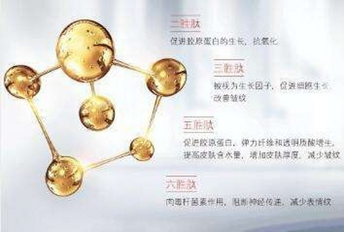 护肤成分中的抗衰老成分有哪些,作用是什么?