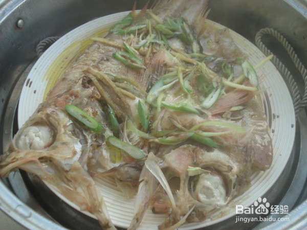 清蒸冰岛红鱼的做法