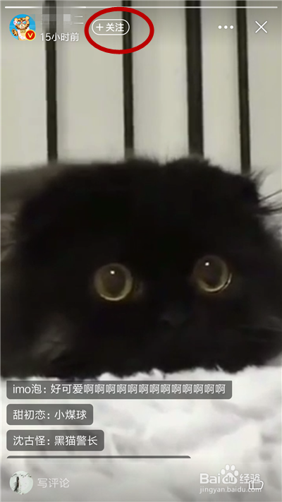 手机上有哪些获得红包的方法呢？