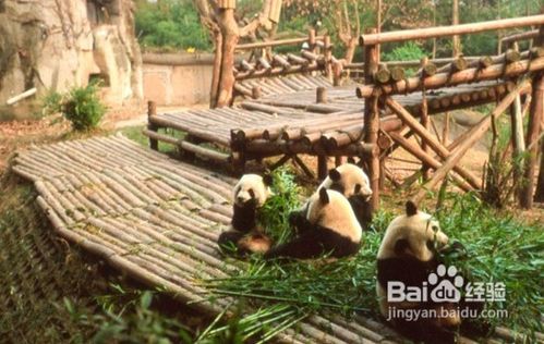 怎样挑选“艳遇”旅游地