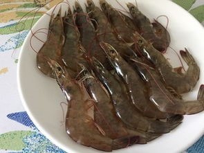 网红抖音虾这样做