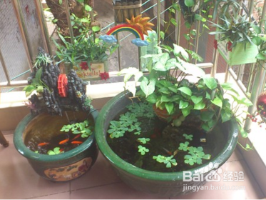 小学生怎样预防登革热病