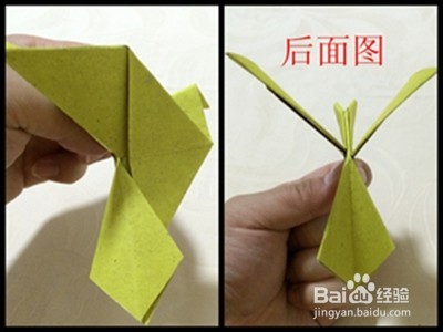愚人折纸之“展翅的鸽子”