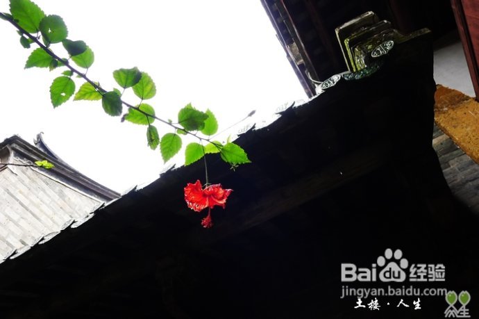 66@365【洪坑】土楼精华一日游