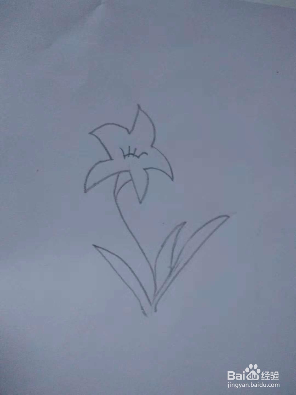一起学如何画百合花!