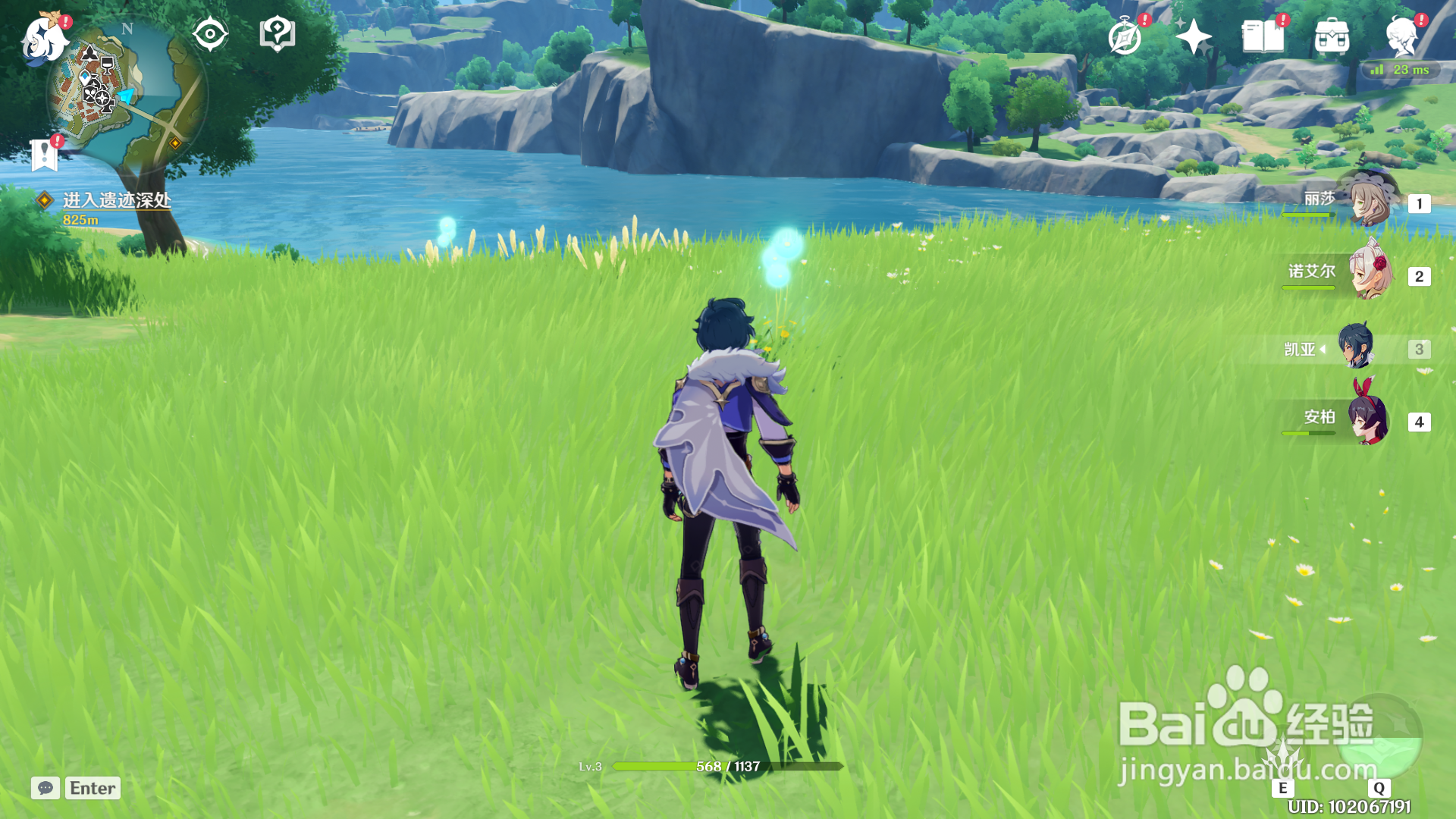 原神蒲公英籽在哪里