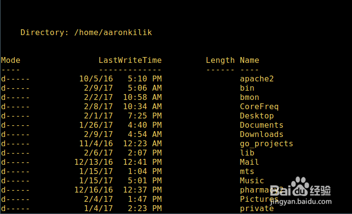 在 Linux 上安装 Powershell
