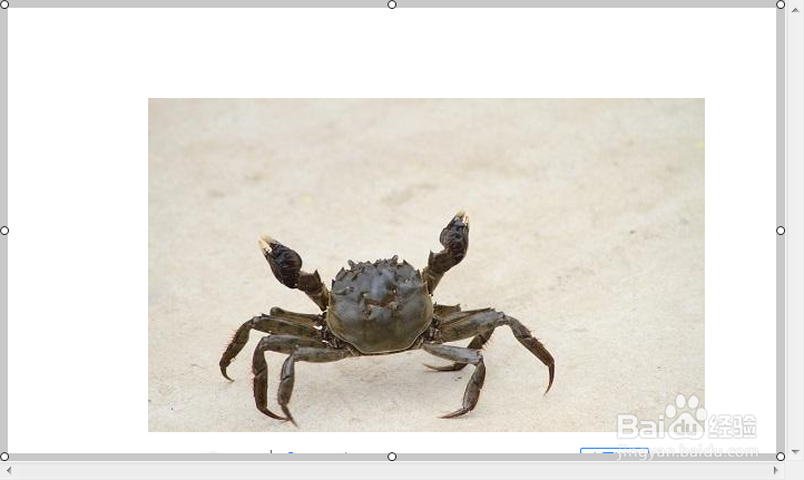 螃蟹怎么做如何储存