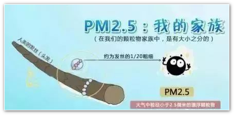 防雾霾口罩怎么戴