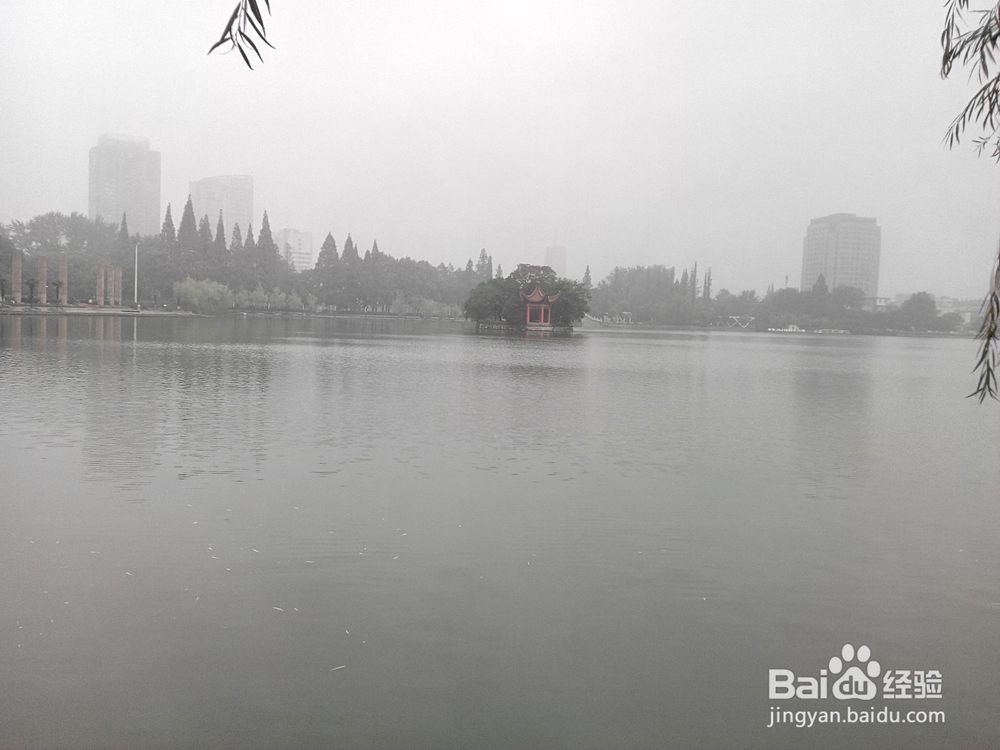 中学生放长假该干些什么