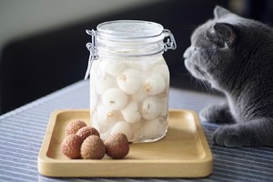 荔枝怎么吃不上火