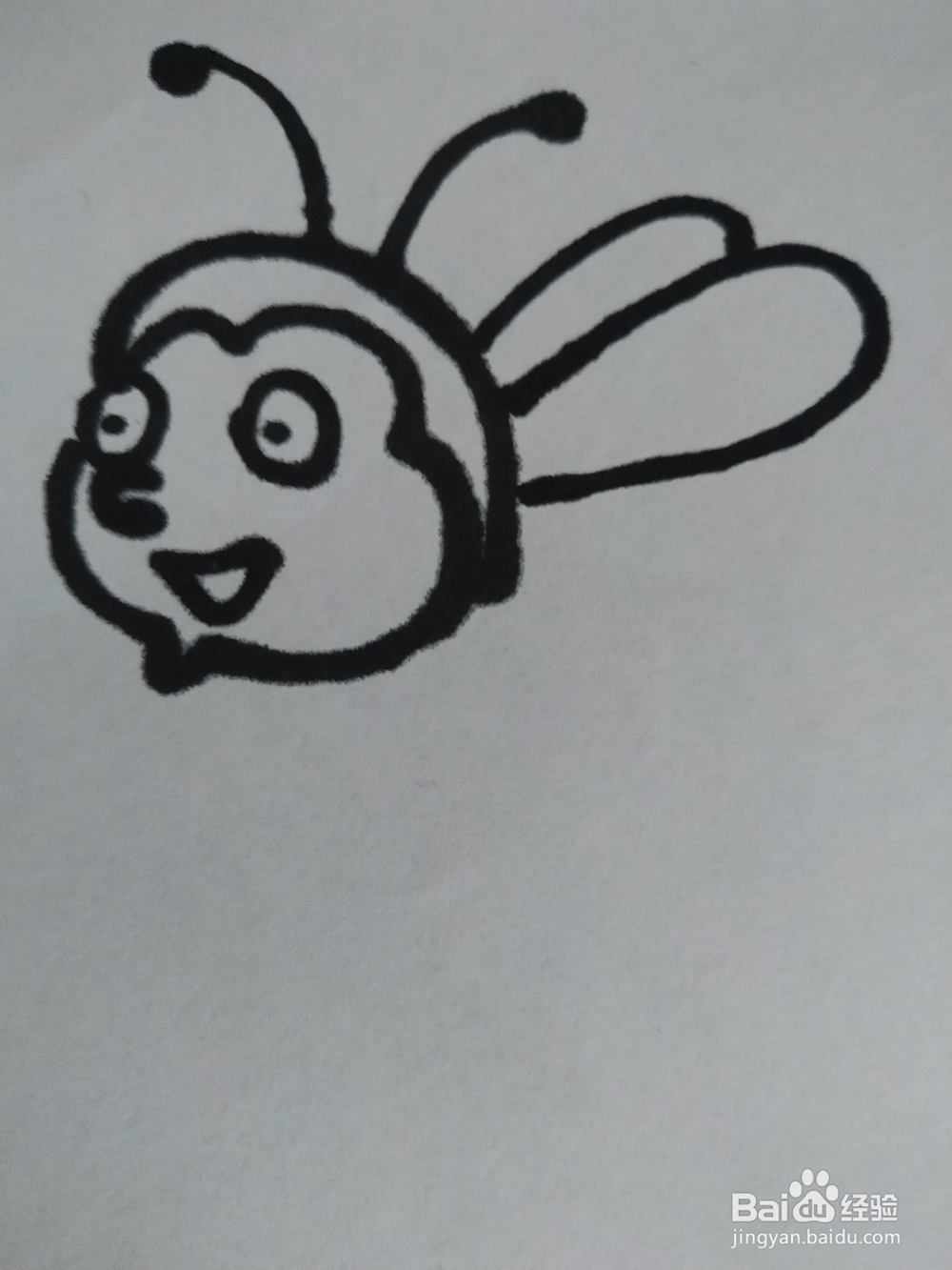 蜜蜂的简笔画技法5
