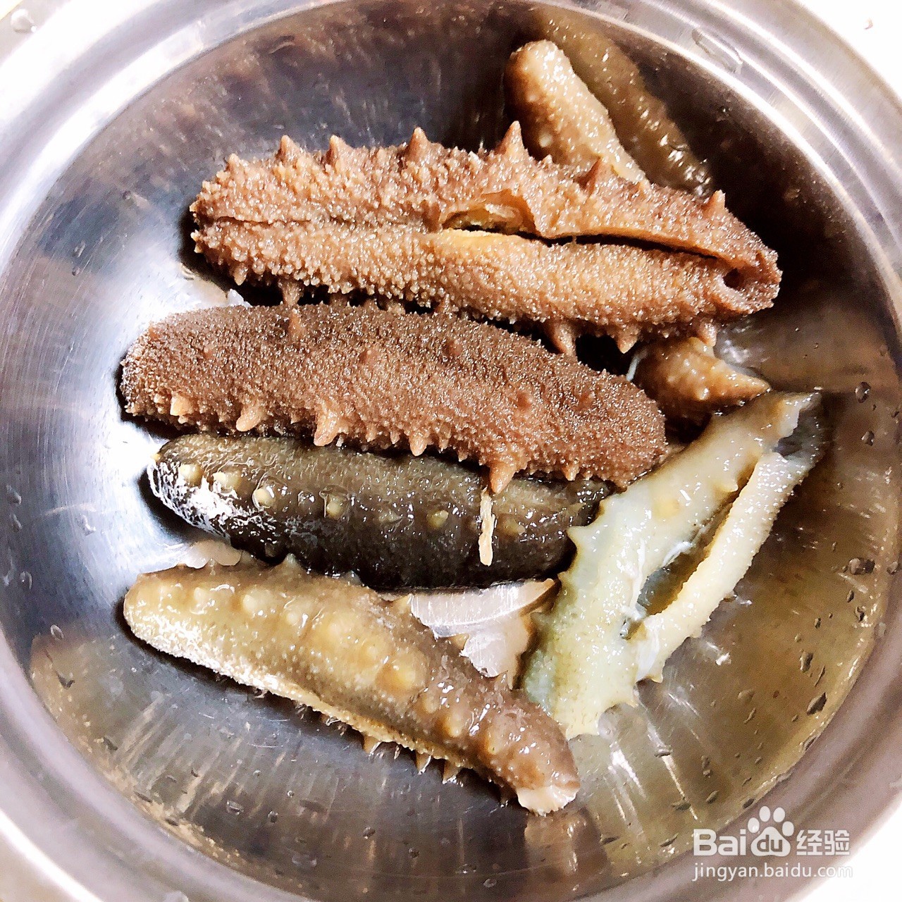 教你做葱爆海参
