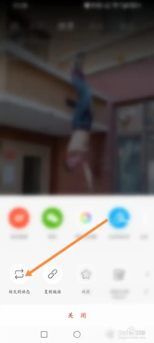 新浪新闻APP在哪里转发短视频到动态