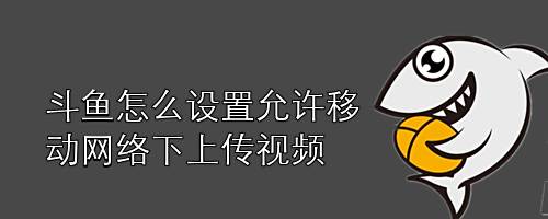 斗鱼怎么设置允许移动网络下上传视频