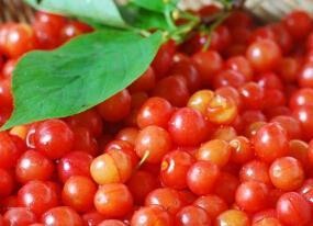 春季吃什么水果如何吃水果更好