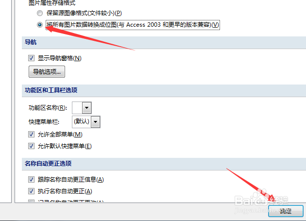 Microsoft Office Access数据库图片转换为位图