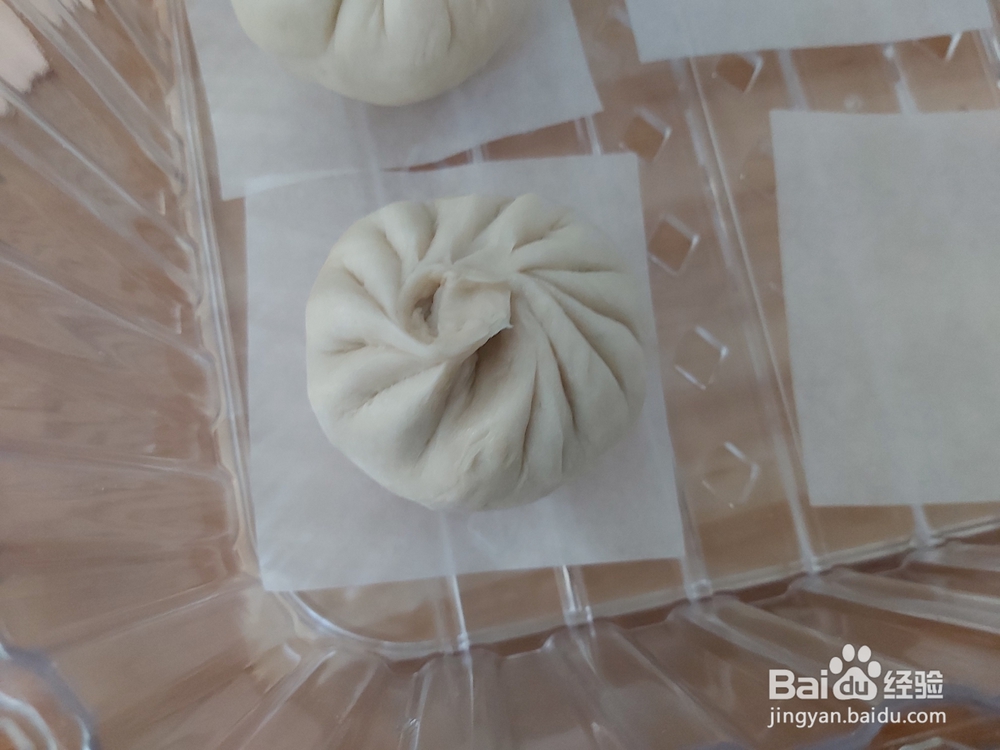 美味家常小白菜粉条猪肉包