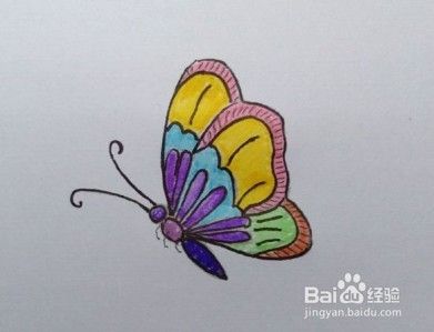 蝴蝶画法教程 1 怎么画 如何画蝴蝶 简笔画 百度经验
