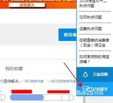 如果查看金牌卖家的打标规则?