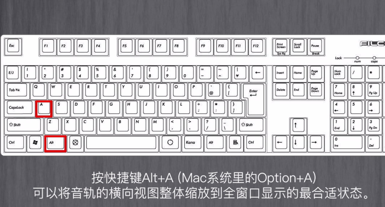 如何调整protools中的视图大小