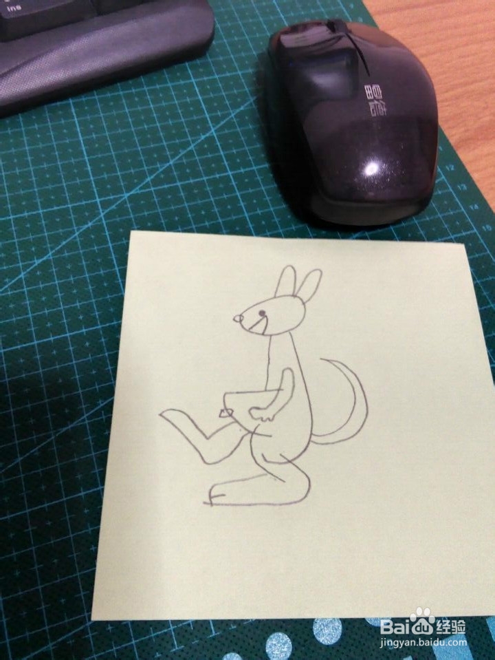 简笔画---袋鼠