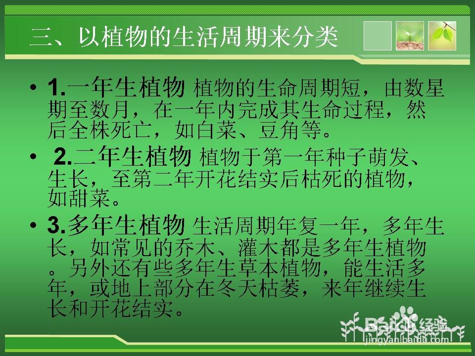 植物的分类介绍