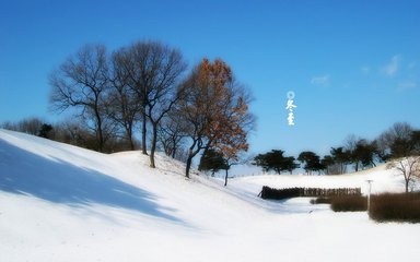 你知道冬至为什么吃饺子吗