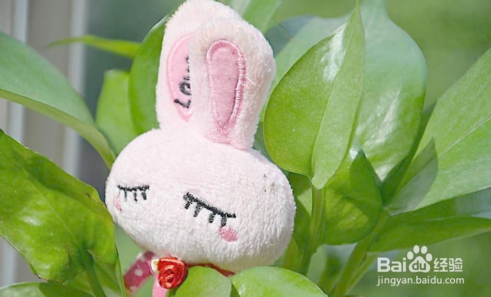 去除室内甲醛污染容易走进的误区