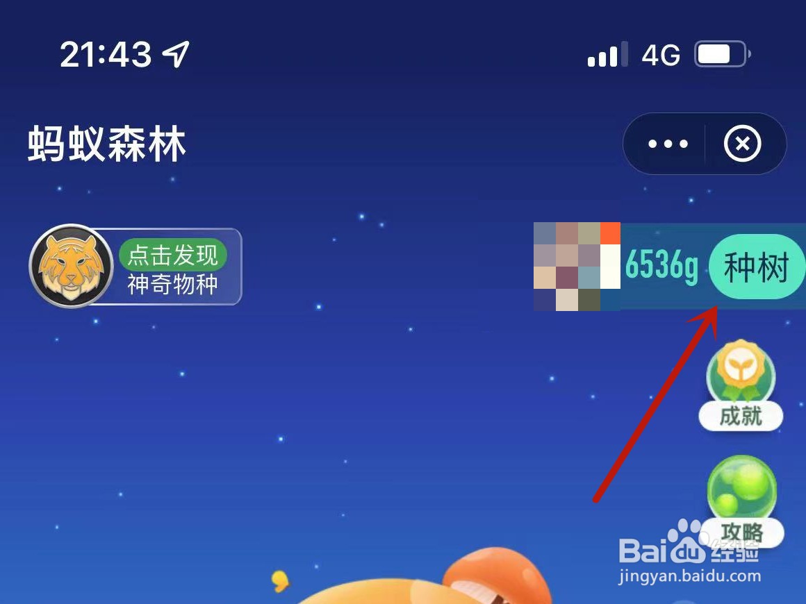 蚂蚁森林背景怎么获得
