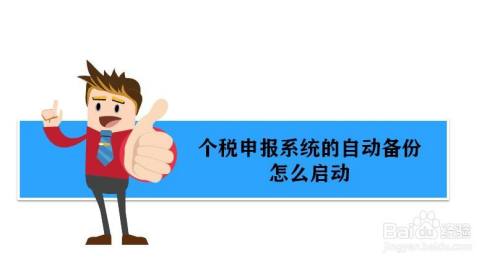个税申报系统怎么启用“自动备份”功能