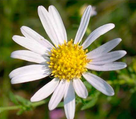 ps教程：图片放大后的质量调整