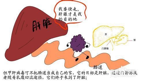 生物小知识:区分传染病中的传染源和传播途径