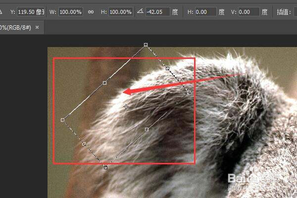 PS中怎么旋转选区框